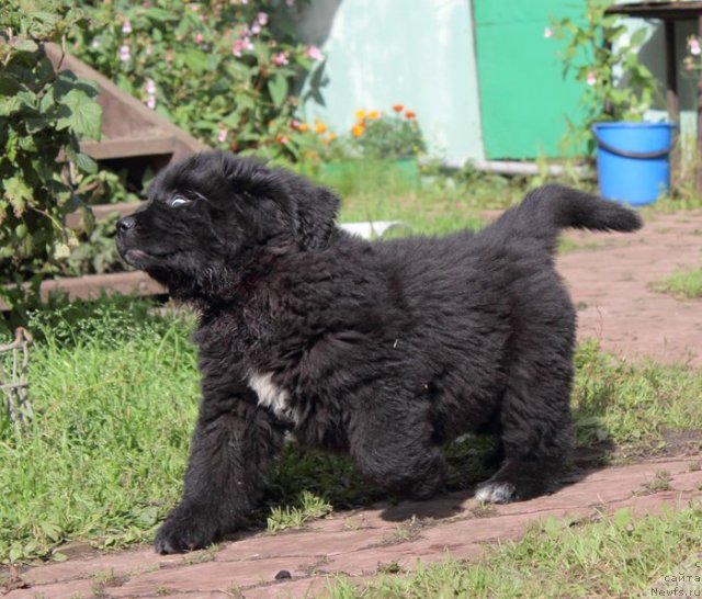 Фотография № 105847