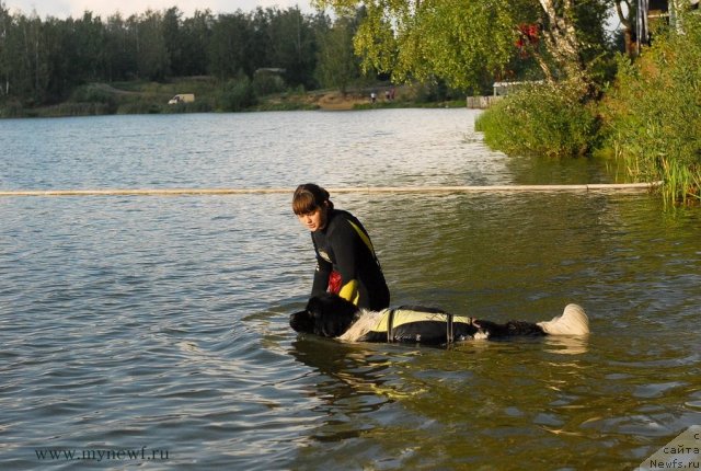 Фотография № 105901