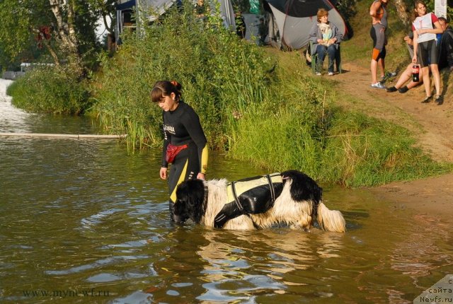 Фотография № 105902