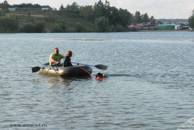 Фотография № 105910