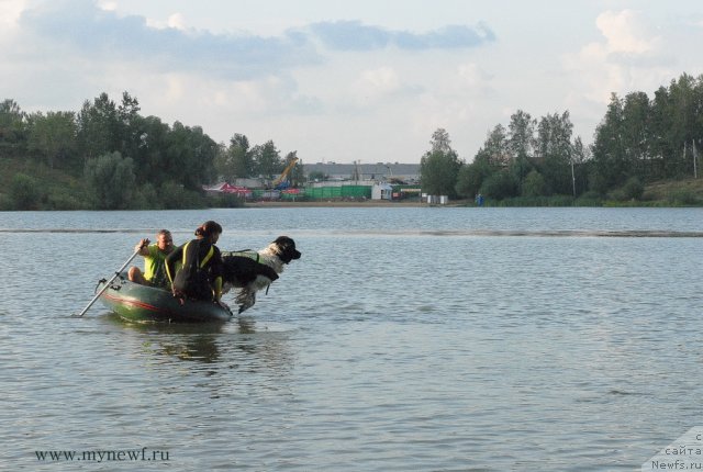 Фотография № 105913