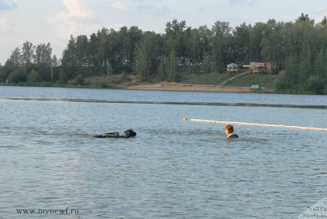 Фотография № 105915