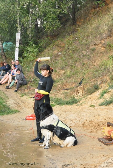 Фотография № 105916