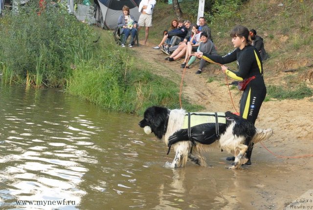 Фотография № 105917