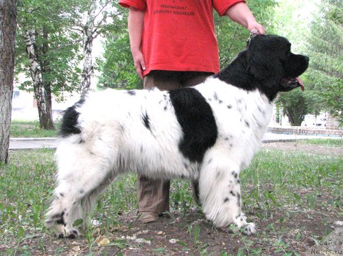 Фотография № 105942