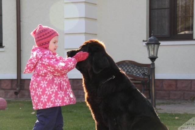 Фотография № 106017