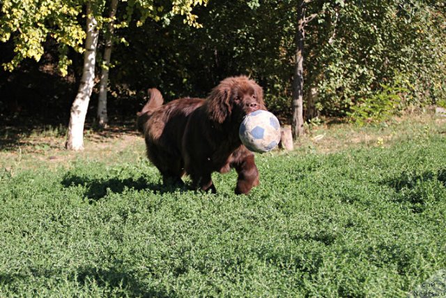 Фотография № 106098