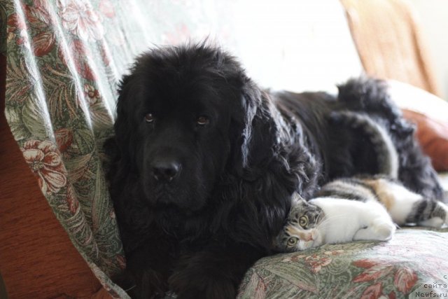 Фотография № 106104