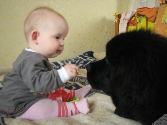 Фотография № 106120