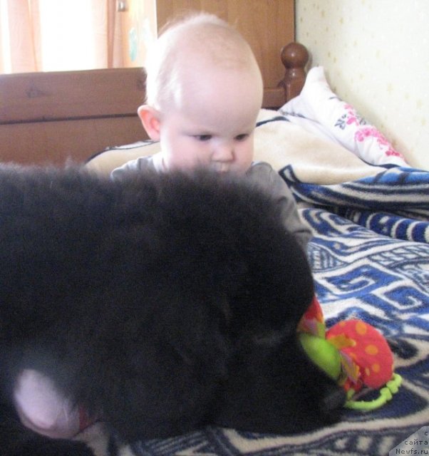 Фотография № 106121