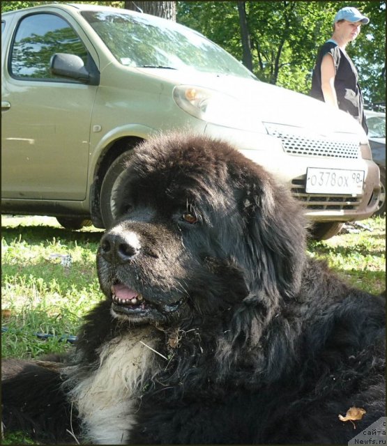 Фотография № 106179