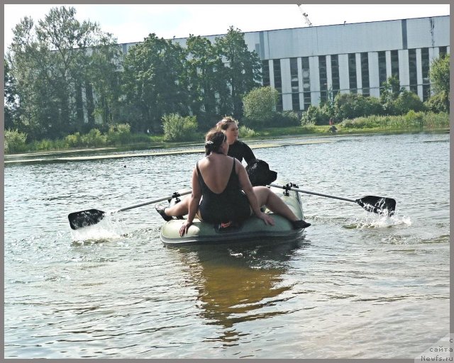 Фото: ньюфаундленд Центр Мироздания из Аркаима (Tsentr Mirozdaniya iz Arkaima), Анна Ковалёва, Анастасия Кормакова