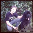 Фото: ньюфаундленд Алекс Завоеватель Сердец