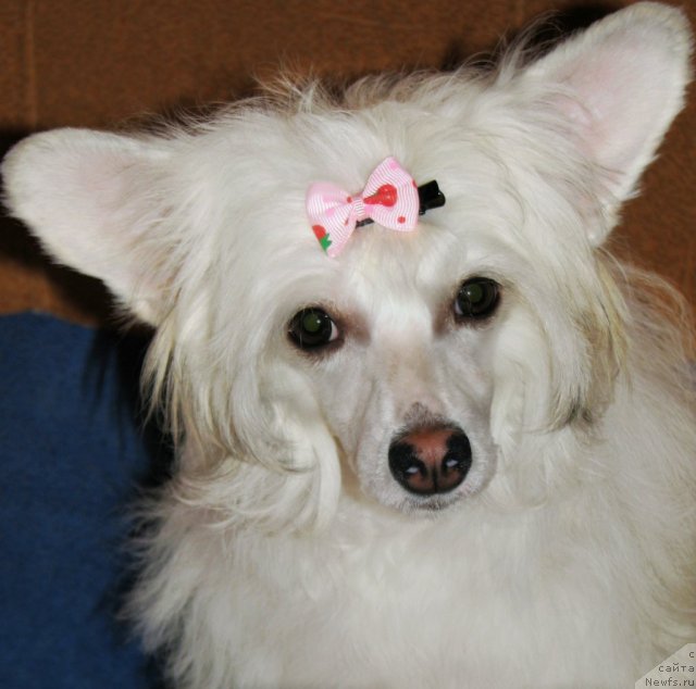 Фотография № 106233