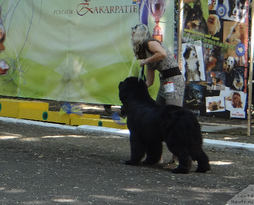 Фотография № 106247