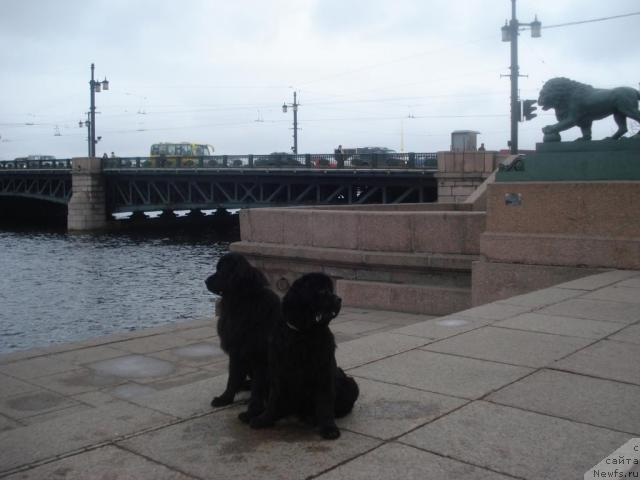 Фотография № 10625