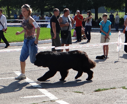 Фотография № 106250