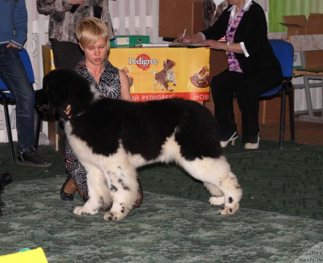 Фотография № 10629