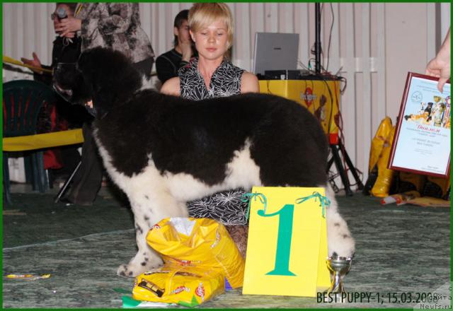 Фотография № 10630