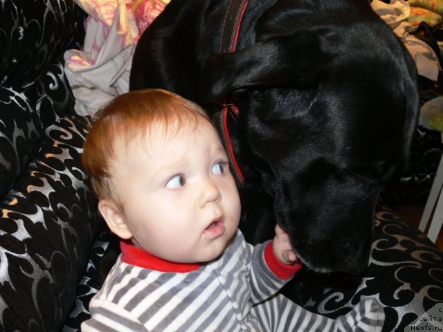 Фотография № 106305