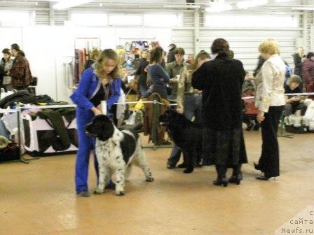 Фотография № 10631