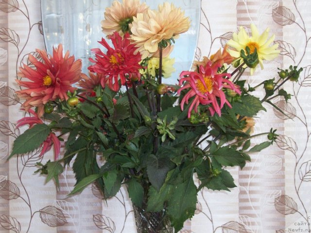 Фотография № 106329