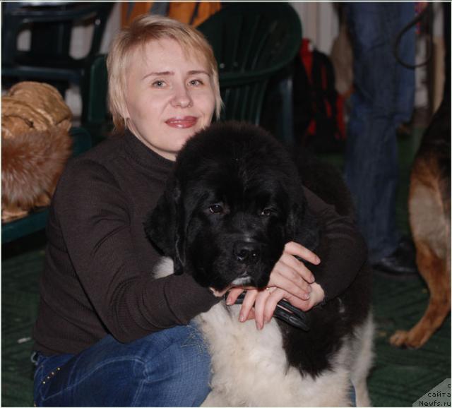 Фото: ньюфаундленд Eros Faundland, Татьяна Морозова