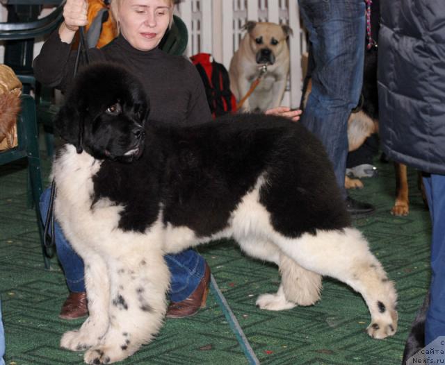 Фотография № 10635