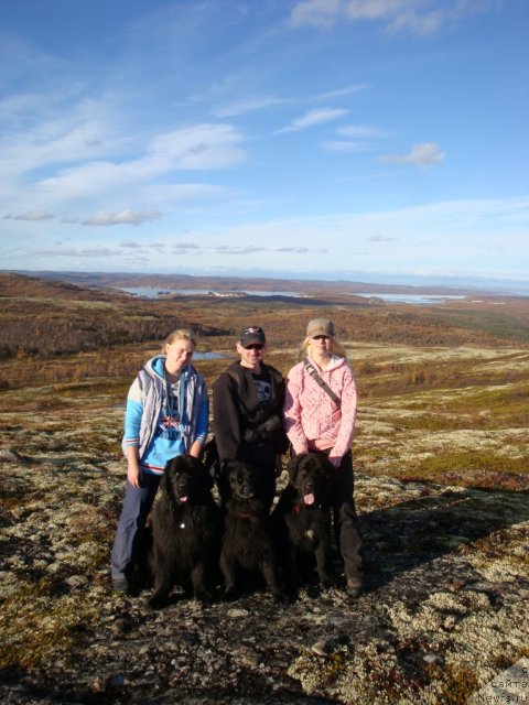 Фото: ньюфаундленд Абигаль Бомонд, ньюфаундленд Питерньюф Нота Бене (Piternyuf Nota Bene), ньюфаундленд Уютная Долина Бьютифул Стар Фаворит, Екатерина Силина, Женя, Екатерина Зайцева