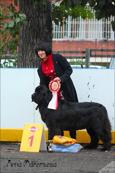 Фотография № 106382