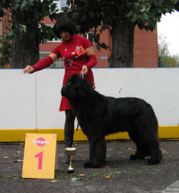 Фотография № 106468