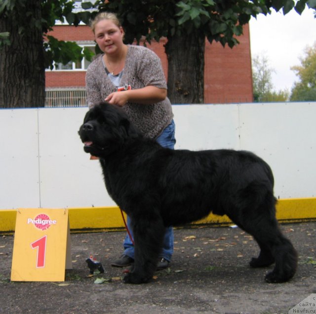 Фотография № 106473