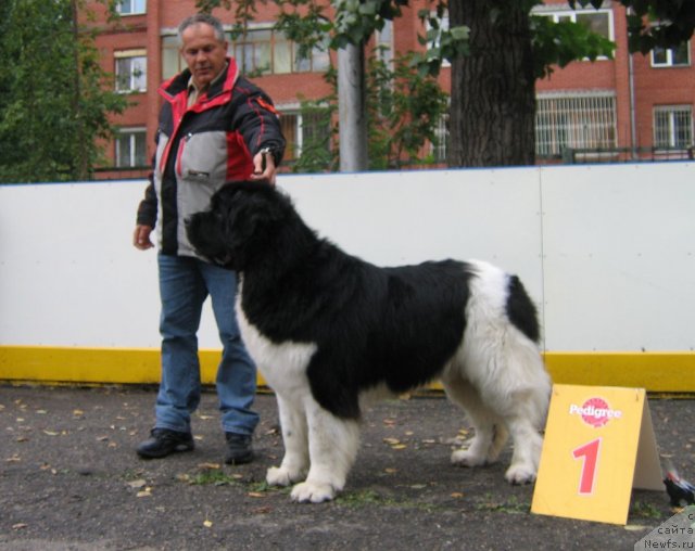 Фотография № 106474