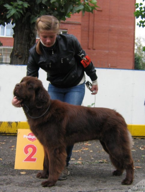 Фотография № 106477