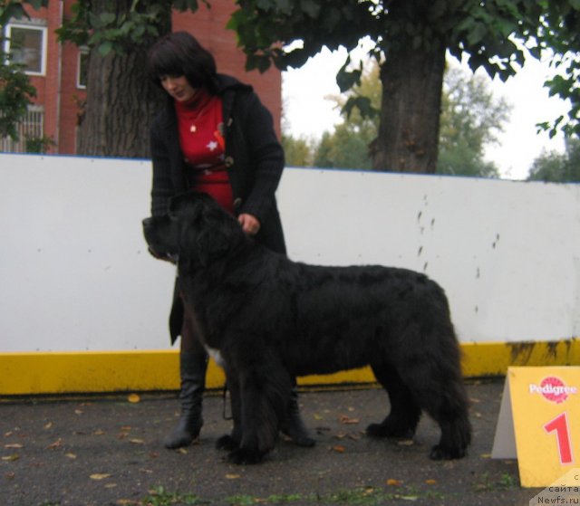 Фотография № 106478