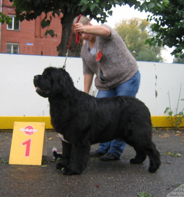 Фотография № 106483