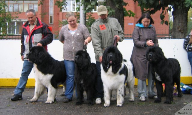 Фотография № 106484