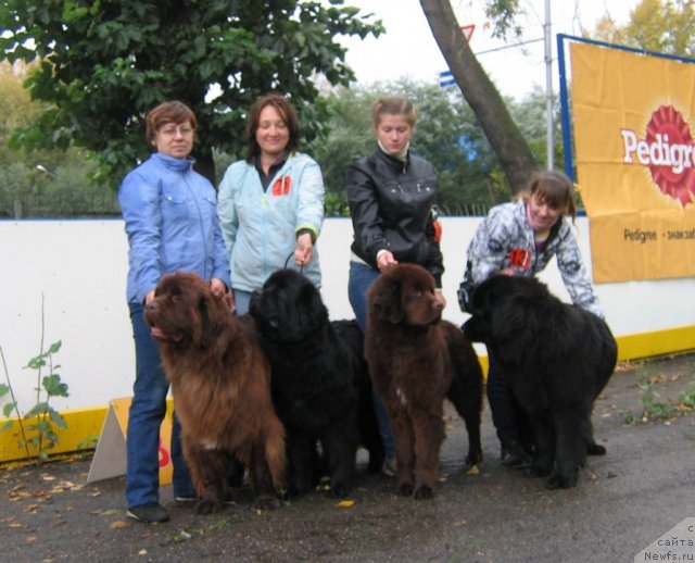 Фото: Питомник «из Царства Медведей»