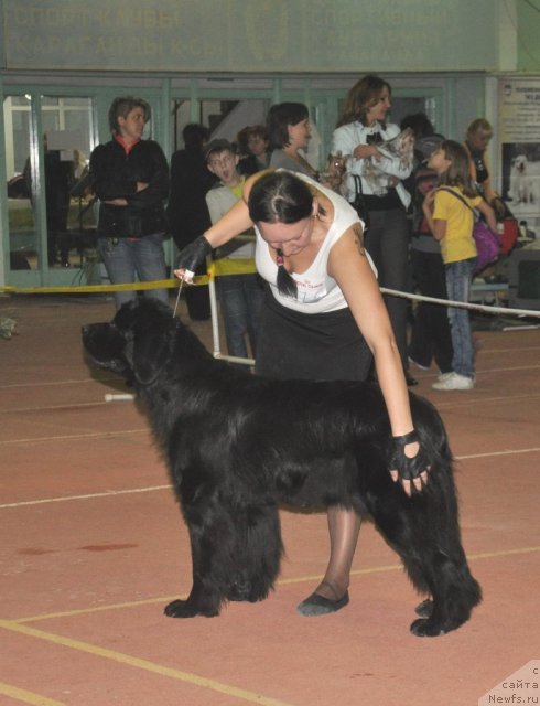 Фотография № 106501