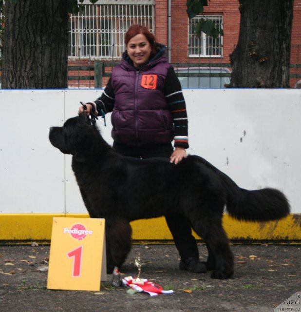 Фотография № 106522