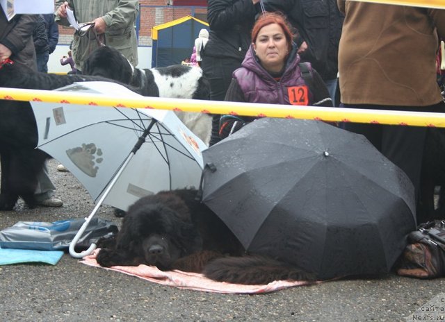 Фотография № 106524