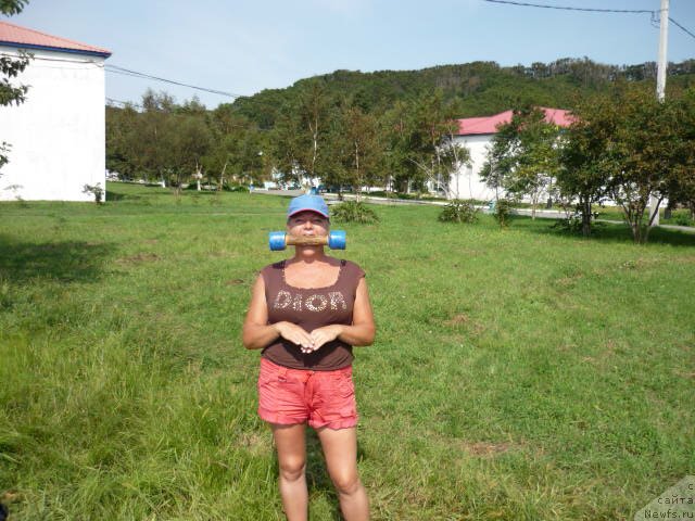 Фото: ньюфаундленд Супер Премиум Занзибар