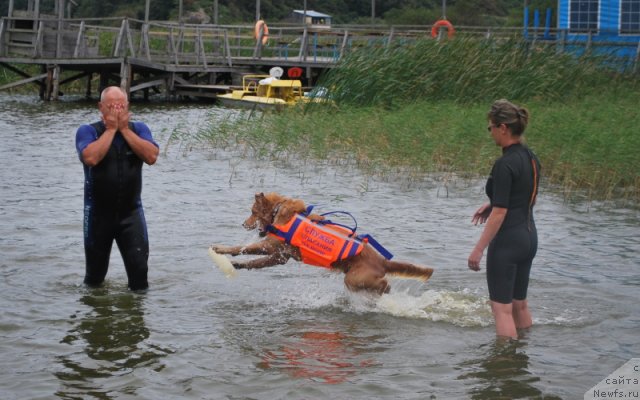 Фотография № 106643