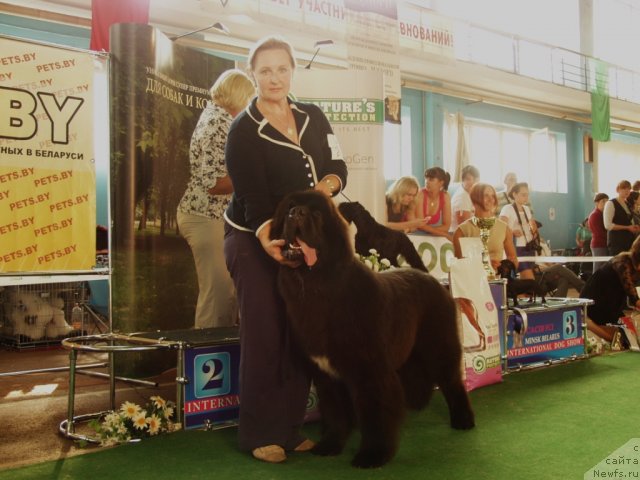 Фото: Ольга Заливако, Likefather Likeson Midnight Bear