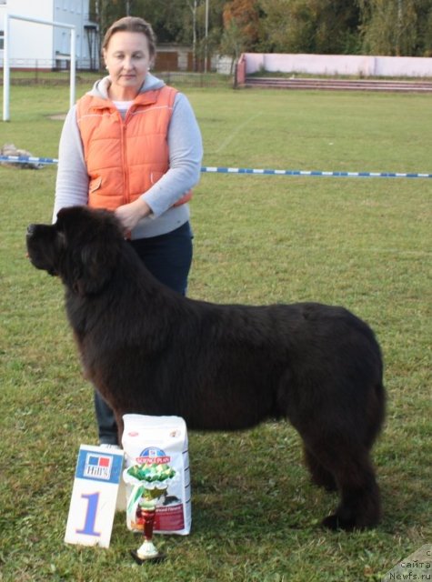 Фотография № 106735