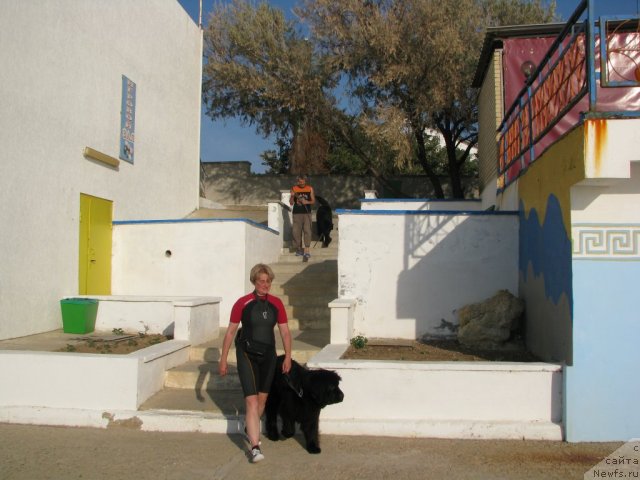 Фотография № 106748