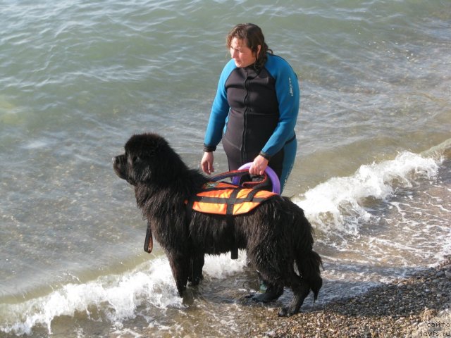 Фотография № 106749