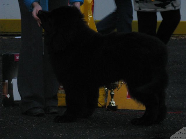 Фотография № 106782