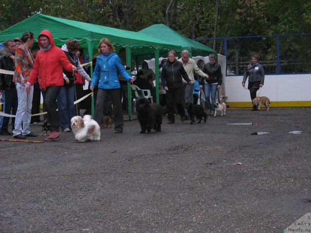 Фотография № 106784