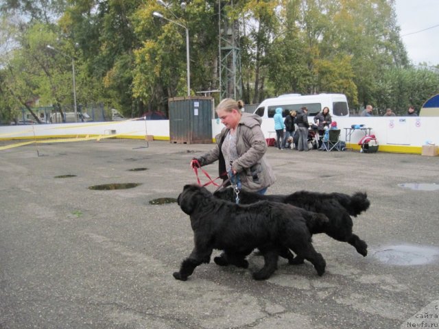 Фотография № 106787